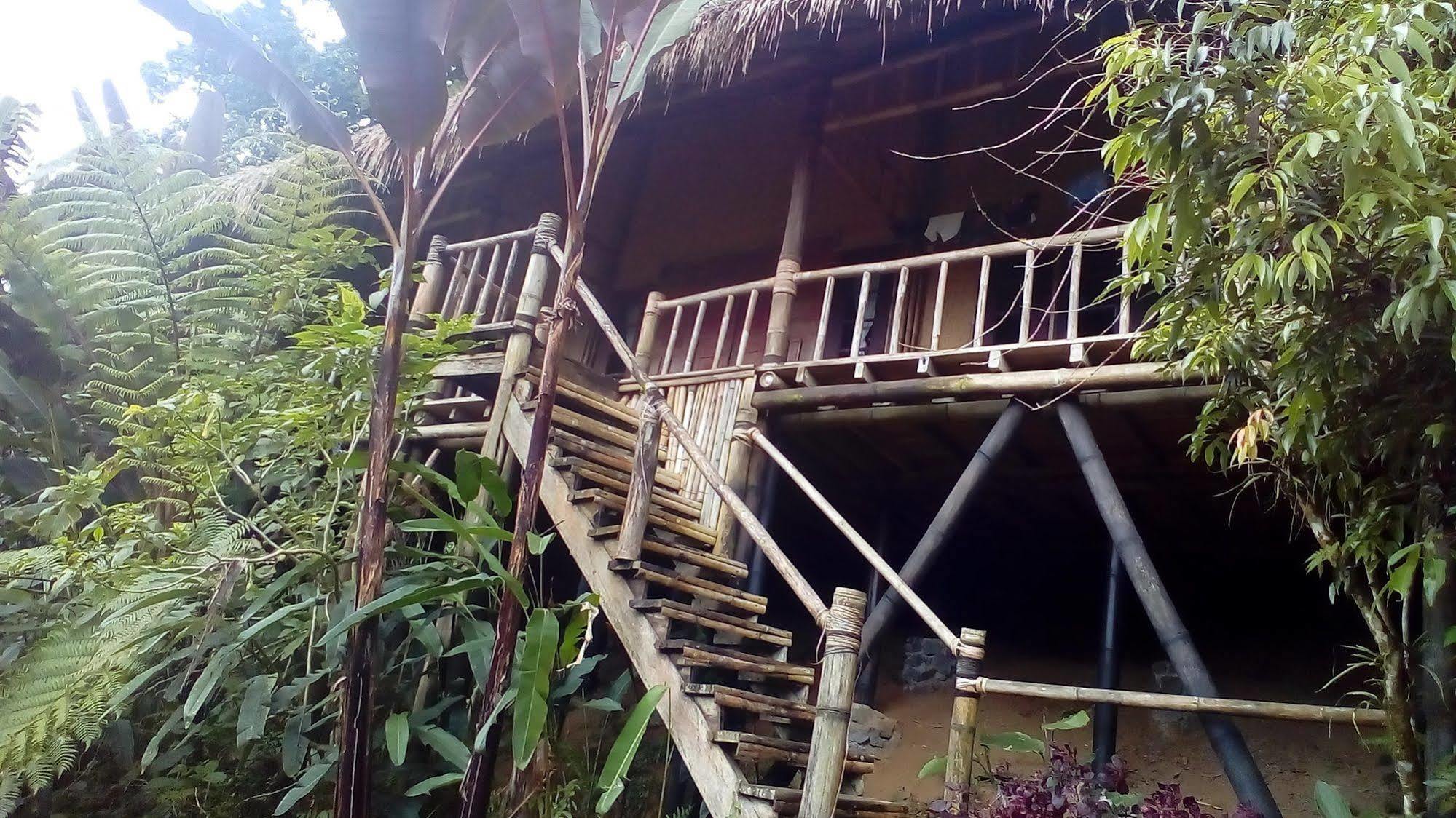 Warung Rekreasi Bedugul Hotel Extérieur photo