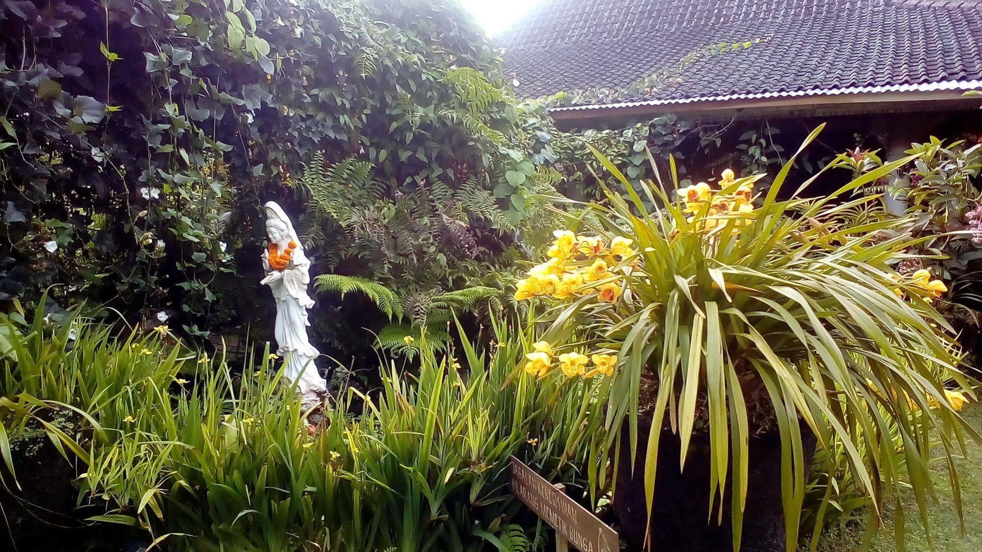 Warung Rekreasi Bedugul Hotel Extérieur photo